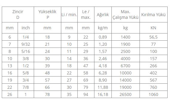 Grade 100 Zincir